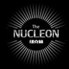 the nucleon 