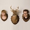 Wye Oak