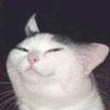 陈大猴