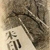 全日本留学生社区