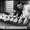 Mind Terrorism Productions 