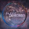 Hybrid Dimension【混合维度】