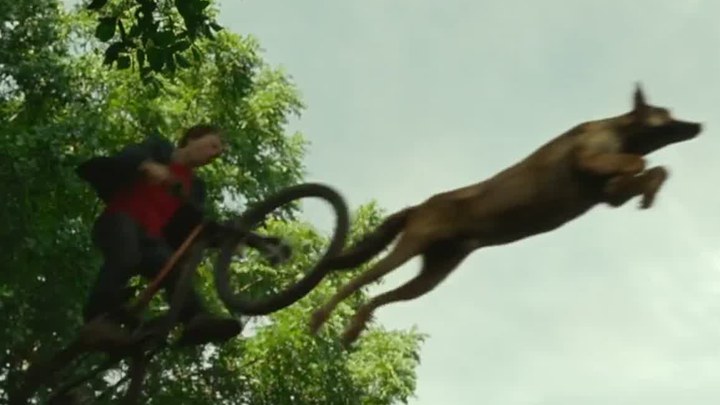电视版