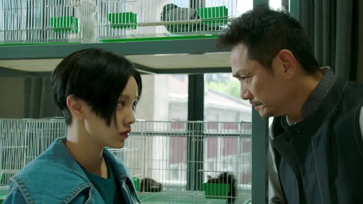 预告片：终极版 (中文字幕)