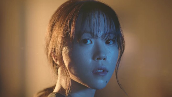 预告片 (中文字幕)