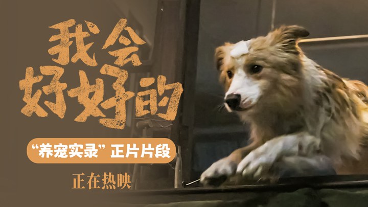 片段 (中文字幕)