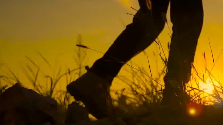 预告片 (中文字幕)