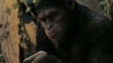 中国预告片2：凯撒NO吼版 (中文字幕)