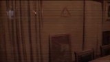 先行版4