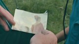 加拿大预告片：多伦多电影节