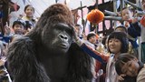 中国预告片1 (中文字幕)