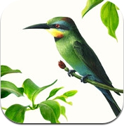 Bird Art (iPad)