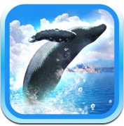 REAL WHALES  Find the cetacean! (iPhone / iPad)