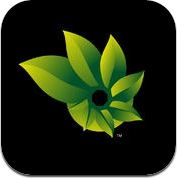 Photosynth (iPhone / iPad)