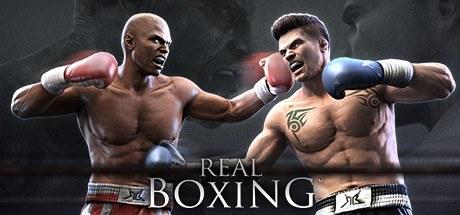 真实拳击 Real Boxing