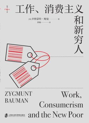 工作、消费主义和新穷人书籍封面