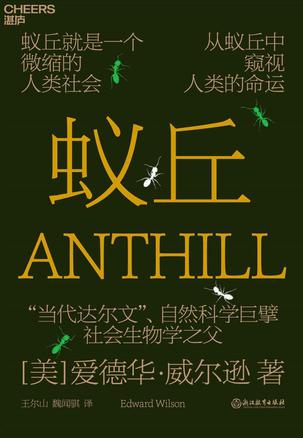 蚁丘 蚁丘