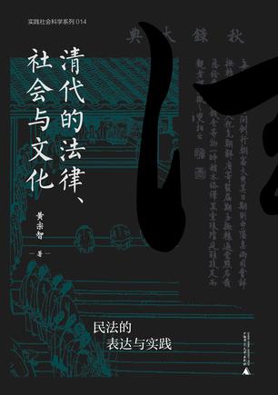 清代的法律、社会与文化