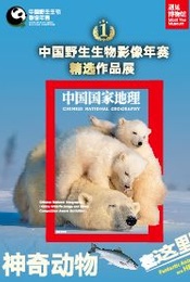 热门活动-神奇动物在这里——中国野生生物影像年赛精选作品展