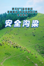 周末 |【安全沟梁】夏天15°C徒步体线-草甸路线-安全沟梁登山徒步