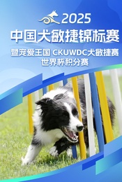 2025中国犬敏捷锦标赛暨宠爱王国CKUWDC犬敏捷赛-世界杯积分赛