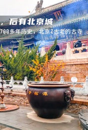 热门活动-周末1日潭柘寺-千年古银杏-佛塔林立-古树参天-北宫国家森林公园赏秋