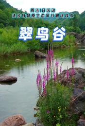 热门活动-周末1日登山徒步 |【翠鸟谷】徒步穿越原生态河谷溯溪戏水