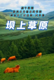 端午假期:坝上草原休闲游玩