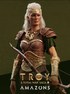 全面战争传奇：特洛伊—亚马孙人 Total War Saga: Troy - Amazons